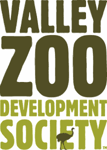VZDS Favicon
