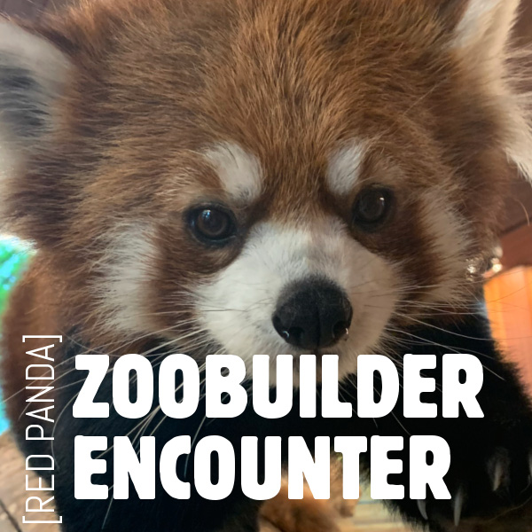 ZooBuilderRedPanda