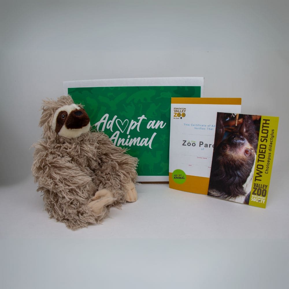 Sloth AAA $75