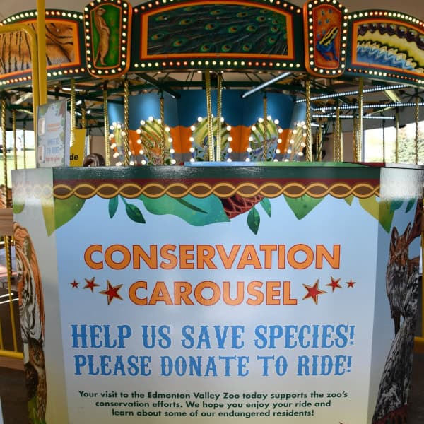 An image of the conservation carousel with the lights on.