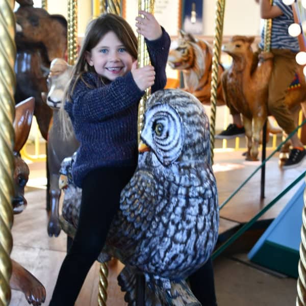 A child rides the Snowy Owl on the Conservation Carousel.