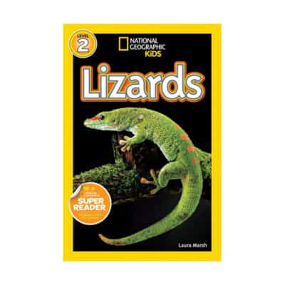 Cover of the book, Lizards