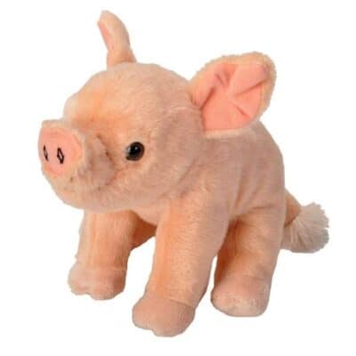 CK Mini Pig Baby 8" stuffed animal.