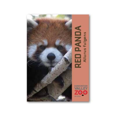 EVZ Bald EagleRed Panda Animal Magnet