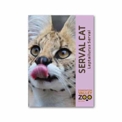 EVZ Serval Cat Animal Magnet