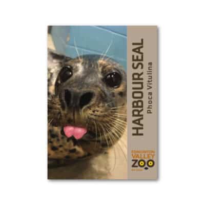 An EVZ Harbour Seal Magnet