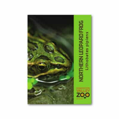 A Northern Leopard Frog EVZ magnet