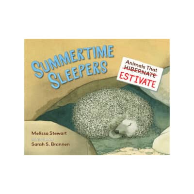 Summertime Sleepers