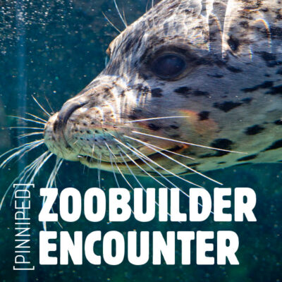 Pinniped ZooBuilder Encounter