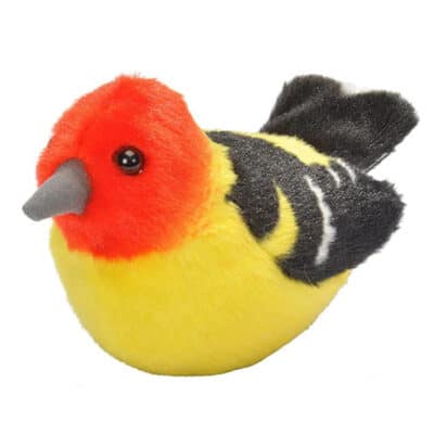 audubon western tanager