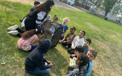 Calder | Grade 1