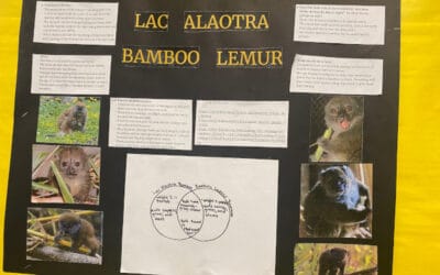 Joseph M Demko | Grade 9