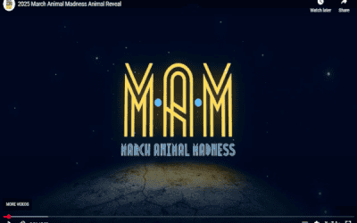 A. Blair McPherson School | March Madness