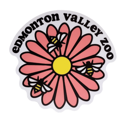 Image of bees flying around a pink flower with Edmonton Valley Zoo above, made by stickers northwest