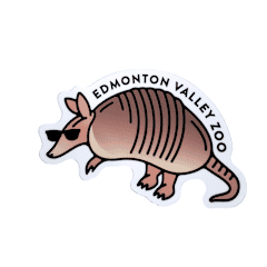 Image of a armadillo wearing shades with Edmonton Valley Zoo above, made by stickers northwest