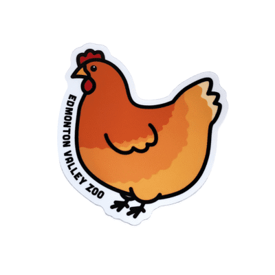Image of a orange chicken that has Edmonton Valley Zoo along the side, made by stickers northwest
