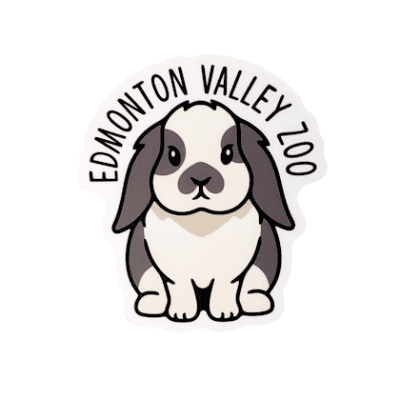 Image of a grey and white rabbit sticker with Edmonton Valley Zoo above, by Stickers Northwest