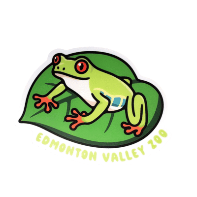 Image of a red eyed tree frog on a leaf with Edmonton Valley Zoo underneath, made by stickers northwest