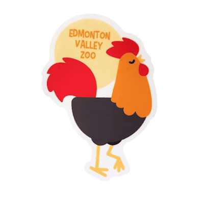 Image of a rooster with a rising sun that has Edmonton Valley Zoo in the middle, made by stickers northwest