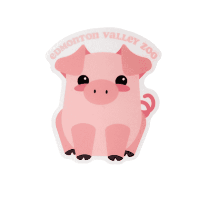 Image of a pig sitting with Edmonton Valley Zoo above, made by stickers northwest