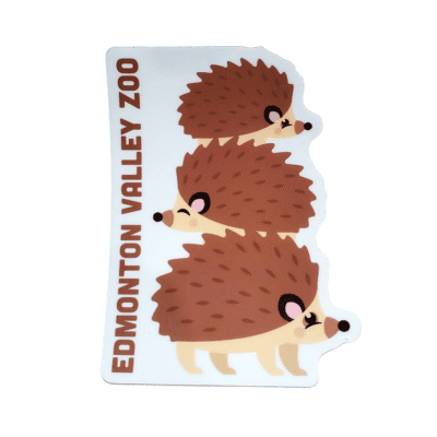 Image of three hedgehogs stacked on top of each other with Edmonton Valley Zoo along the side, made by stickers northwest