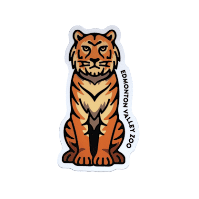Image of a tiger sitting with Edmonton Valley Zoo along the tigers side, made by stickers northwest