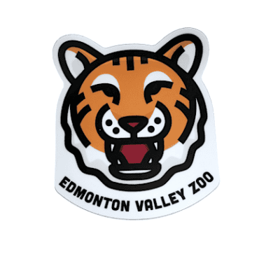 Image of a tiger face roaring with Edmonton Valley Zoo underneath