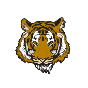 An image of a tiger pin.