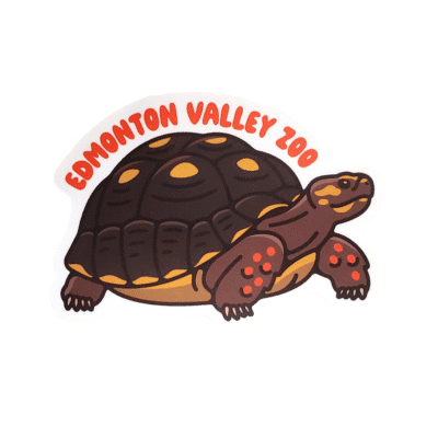 Image of a tortoise with Edmonton Valley Zoo above, made by stickers northwest