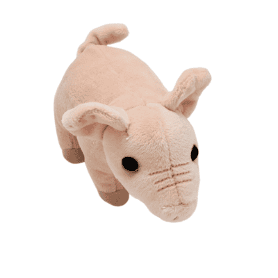 Image of stuffed toy pink pig.