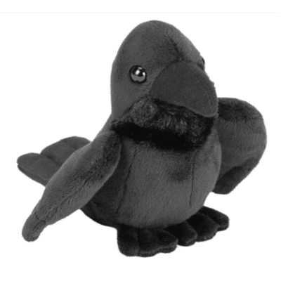 Image of black raven plush toy.